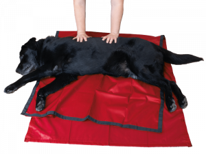 slideezi-hospitalDirect-Tapmed-vet slideezi-hospitalDirect-Tapmed-vet
